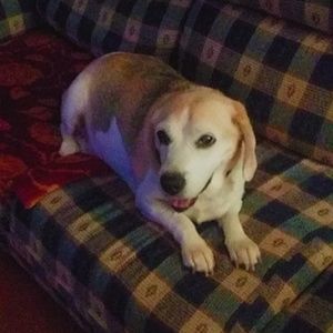 Meet your Posher, Gianna